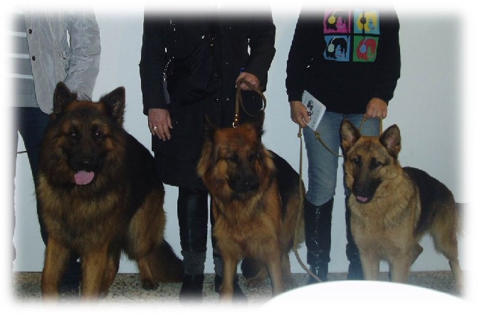 Des Sentinelles D'Eriador - Le trio gagant en confirmation et la surprise!