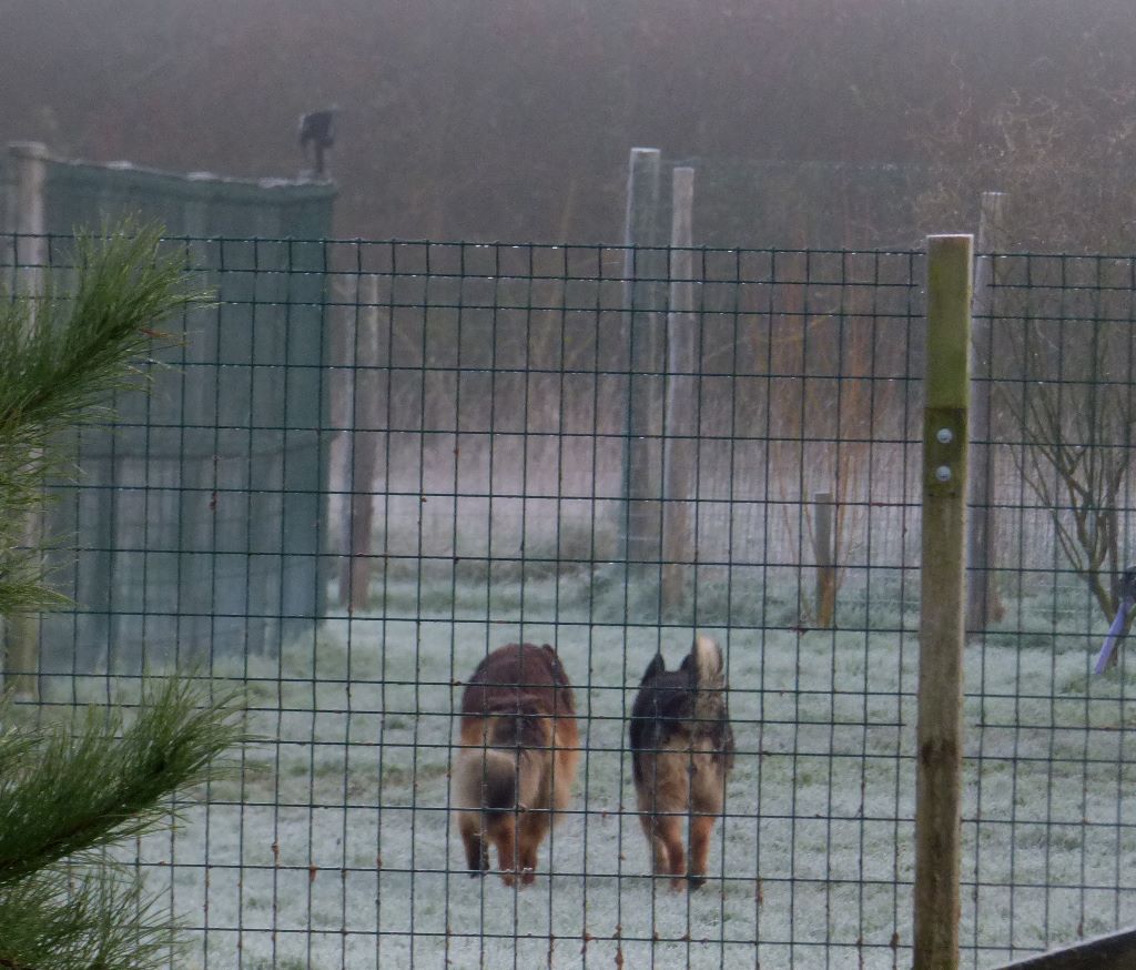 Des Sentinelles D'Eriador - De bon matin!