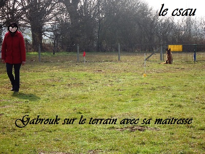 Des Sentinelles D'Eriador - Gabrouk Des Sentinelles D'Eriador