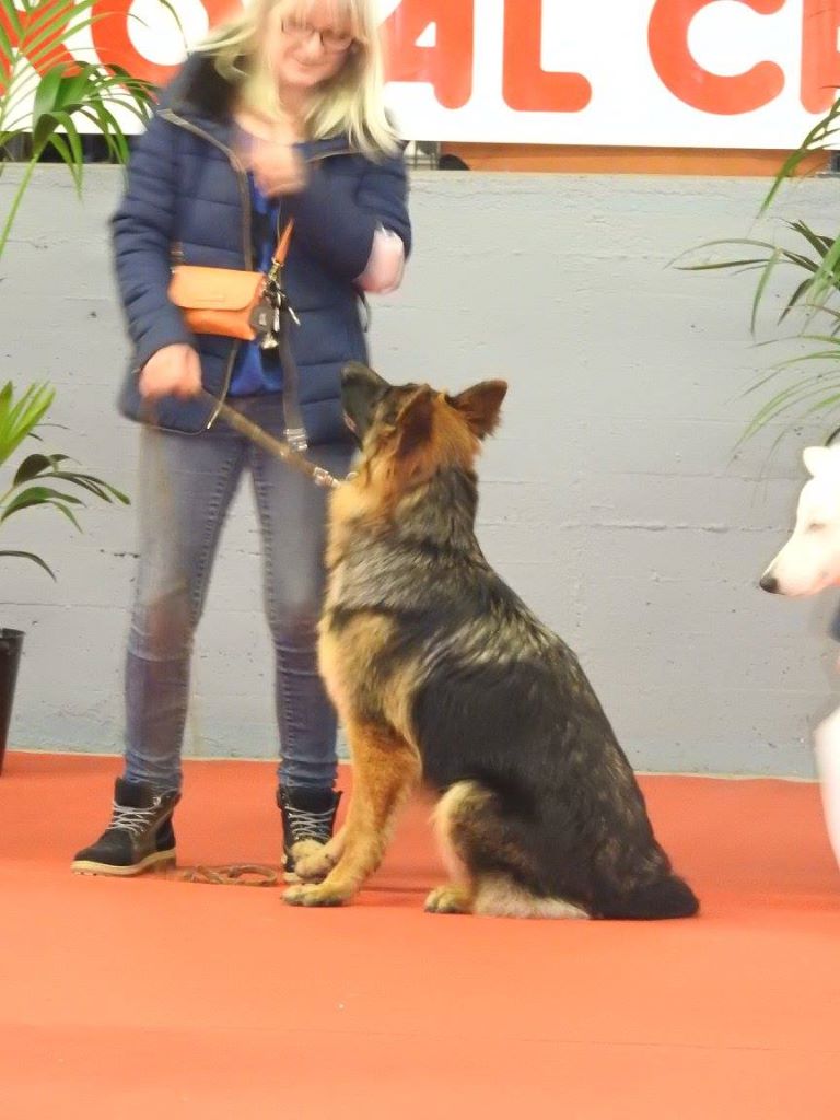 Des Sentinelles D'Eriador - Narnia ma p'tite gitane!