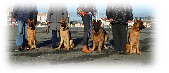 Des Sentinelles D'Eriador - Le Mans 2015