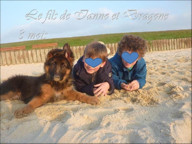 Des Sentinelles D'Eriador - Photo de famille!