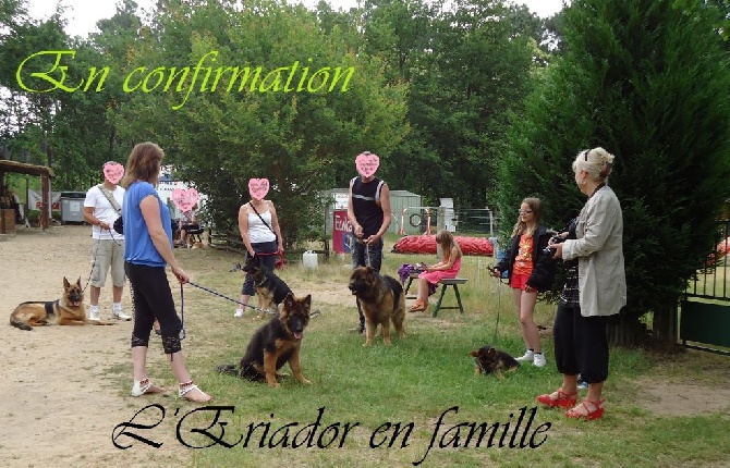 Des Sentinelles D'Eriador - L'Eriador en confirmation.