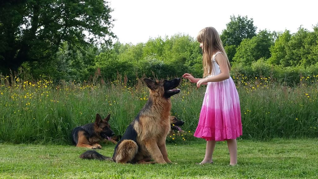 Des Sentinelles D'Eriador - Mon chien ma fille...