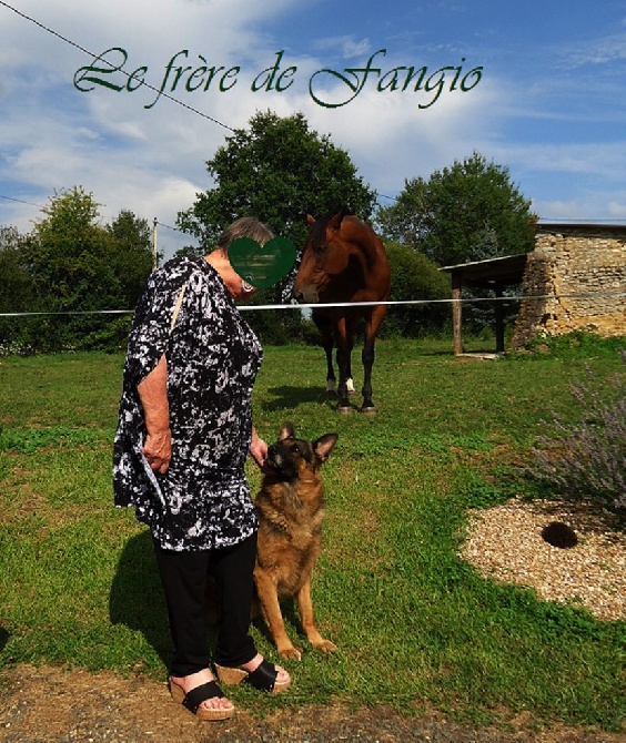 Des Sentinelles D'Eriador - Le bonheur c'est ça!