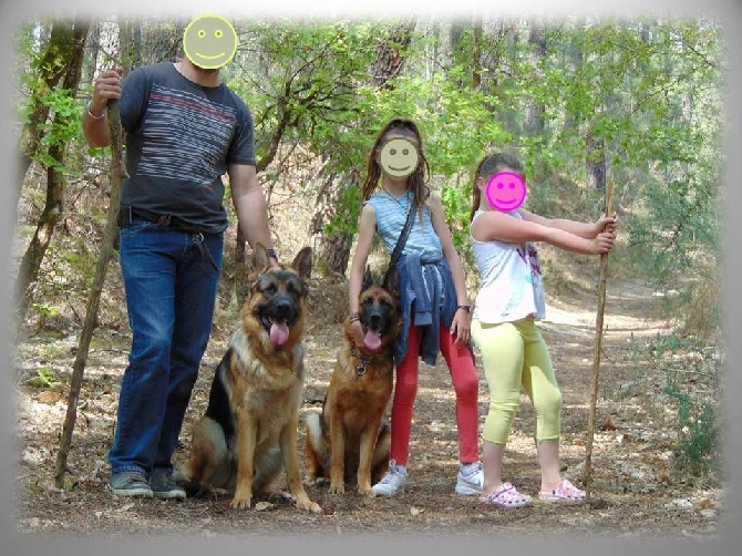 Des Sentinelles D'Eriador - Mes amis... Mes chiots devenus grands!