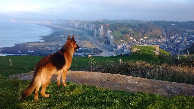 Des Sentinelles D'Eriador - Hafco en vacances.