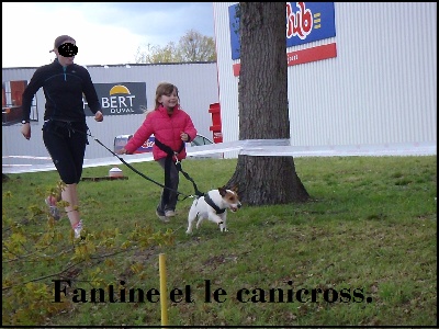 Des Sentinelles D'Eriador - Le canicross.