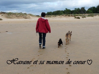 Des Sentinelles D'Eriador - Ma surprise.