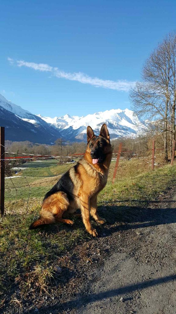 Des Sentinelles D'Eriador - Le superbe Maki Des SDE... Fangio & Lola