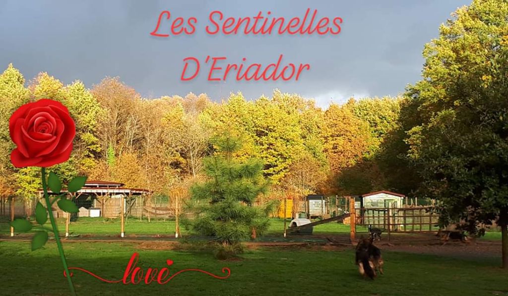 Des Sentinelles D'Eriador - Mon paradis entre pluie et soleil d automne...