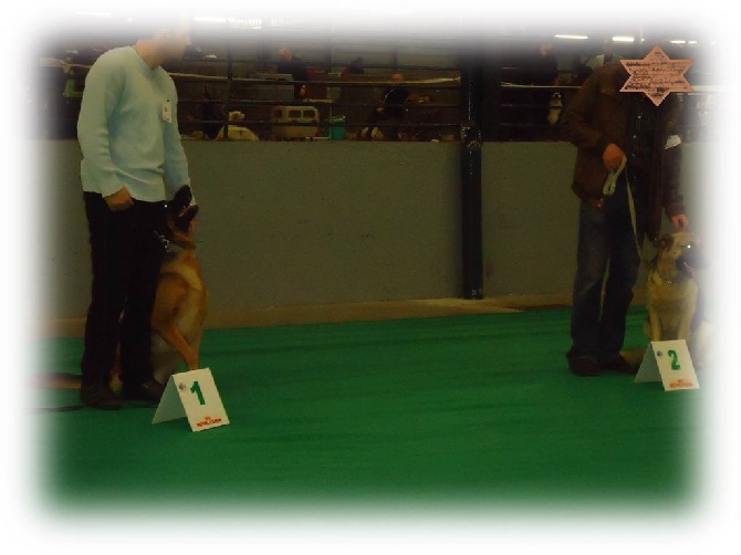 Des Sentinelles D'Eriador - Le Mans quelle expo!